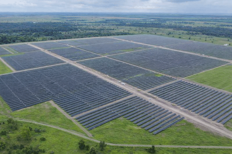 Megavar HV engineers on a solar farm site. Specialist commissioning and maintenance services for utility-scale solar projects across Australia.
